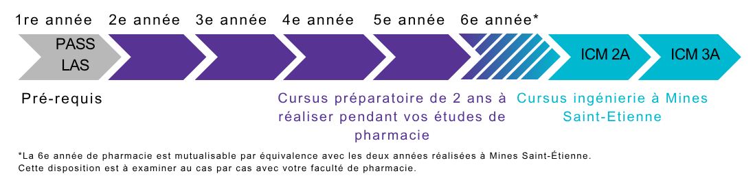 Schéma présentant l'organisation du double-cursus pharmacien-ingénieur