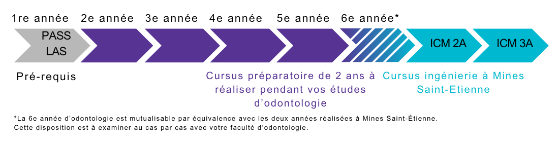 Schéma présentant l'organisation du double-diplôme dentiste-ingénieur